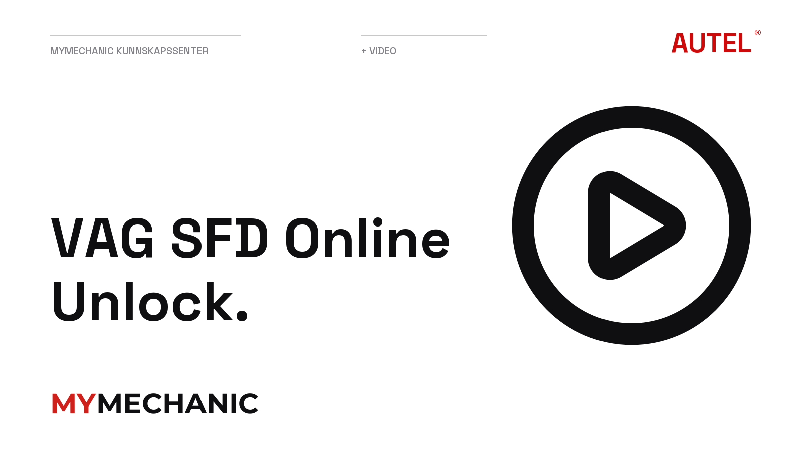 VAG SFD Online Unlock.